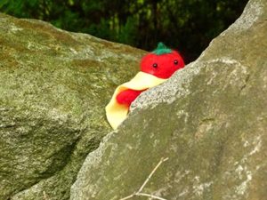 岩陰のトマトマンの写真
